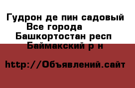 Гудрон де пин садовый - Все города  »    . Башкортостан респ.,Баймакский р-н